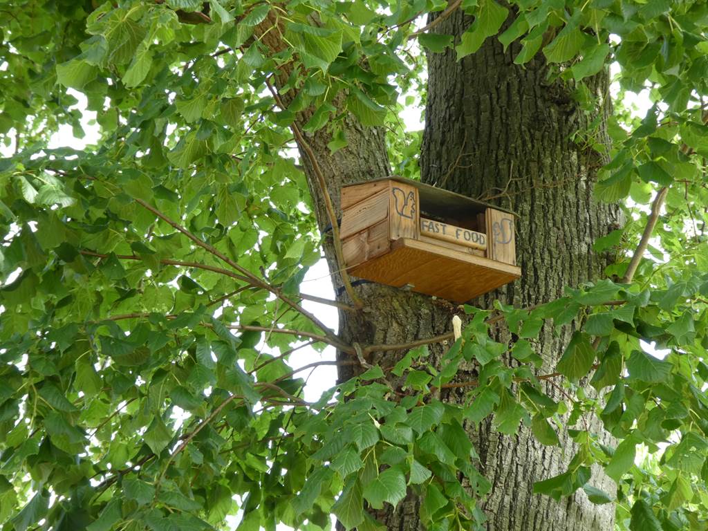 TOURNES, Village Fleuri "2 Fleurs", Tournes - photo 3