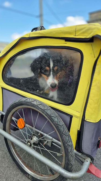MK BIKES — photo 3