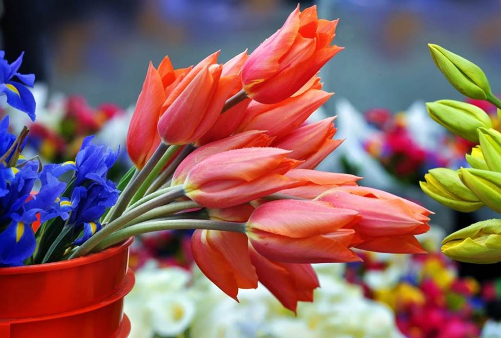 Marché aux fleurs — visuel événement