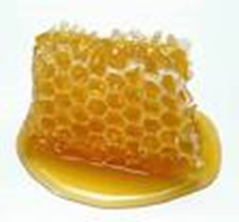 Vente de miel  France Grand Est Ardennes Sévigny-la-Forêt 08230