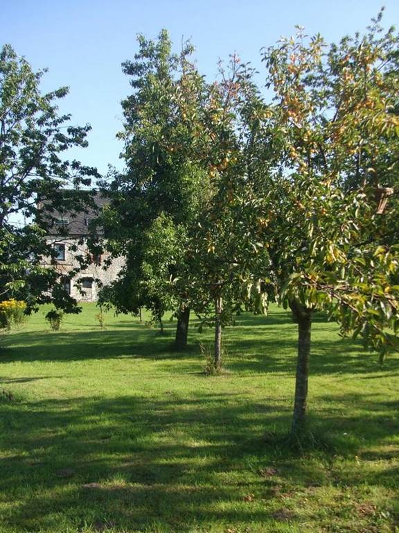 LE BOIS DU GART, Bossus-lès-Rumigny - photo 6