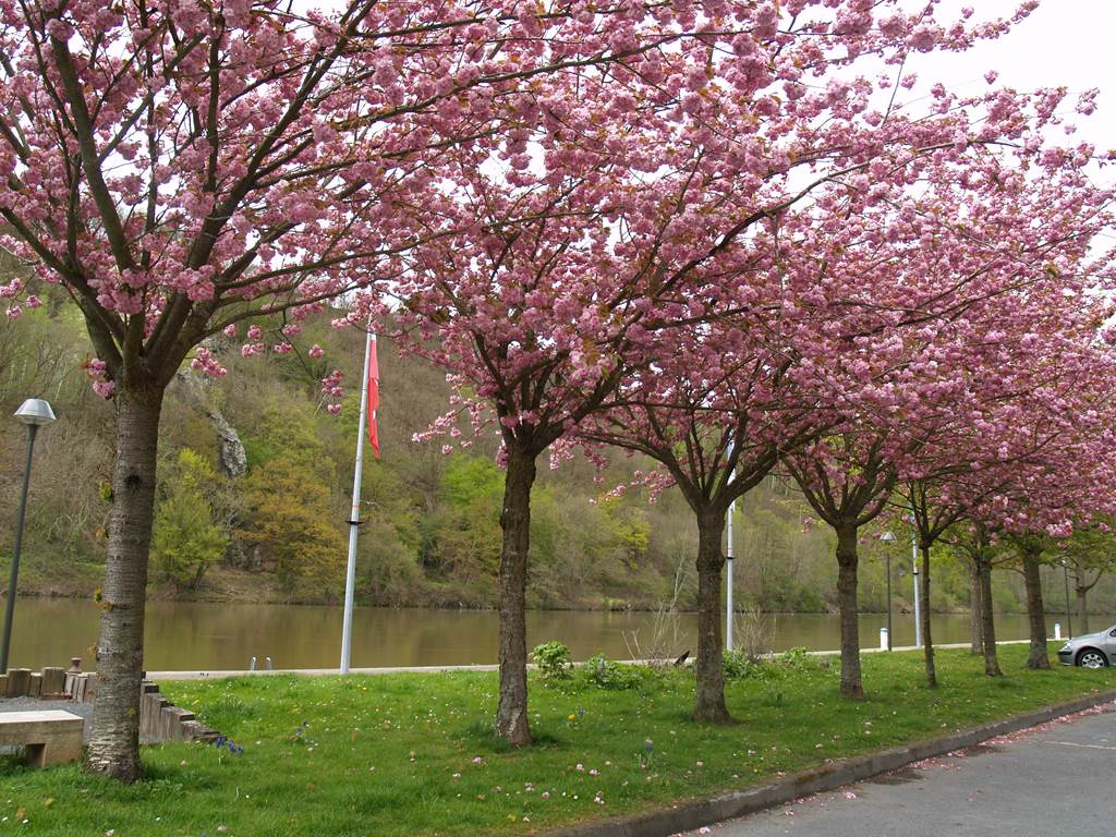 FUMAY, Ville Fleurie "2 Fleurs", Fumay - photo 2