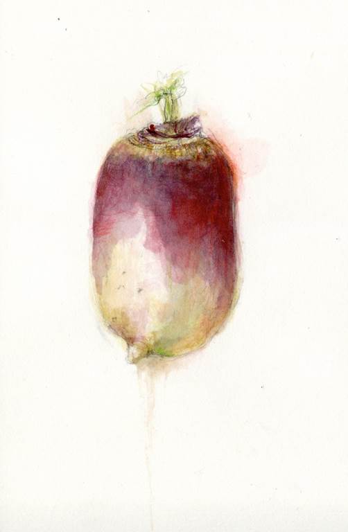 Le labo sauvage : Ateliers d'arts visuels