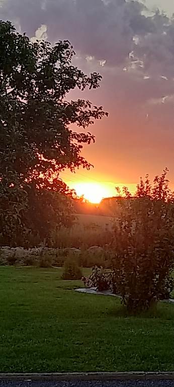 Aux trois petites notes, La Sabotterie - photo 8