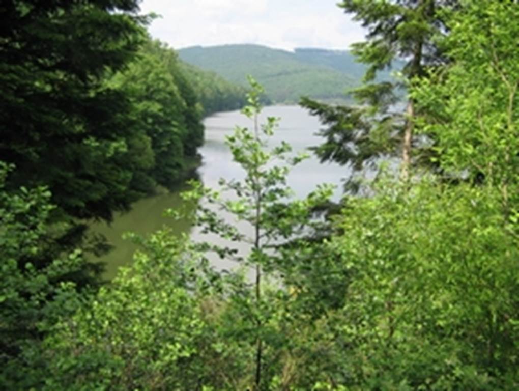 Aménagement hydroélectrique - Revin-Saint Nicolas - Les Mazures, Revin - photo 2