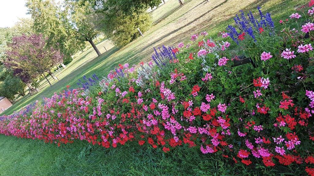 Vouziers - Ville Fleurie "2 fleurs", Vouziers - photo 3
