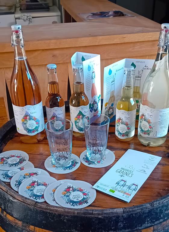 Limonaderie Artisanale Mauvaises Graines