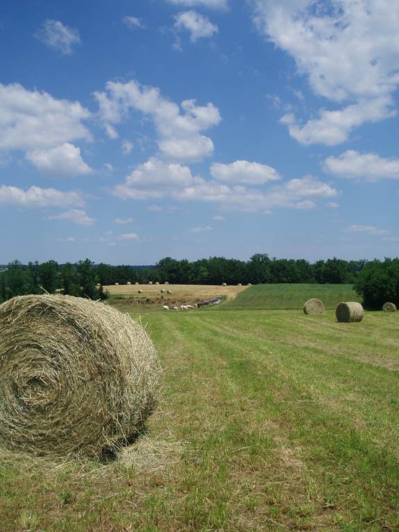Fête des moissons à l'ancienne