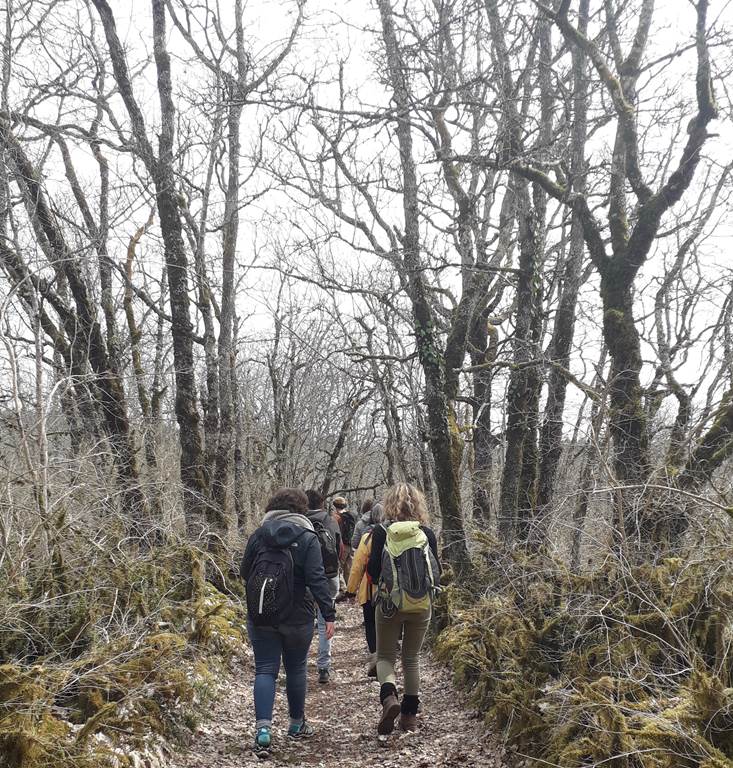 Ecothérapie dans la nature ! Juliette  Cheriki-Nort, Rethel - photo 4
