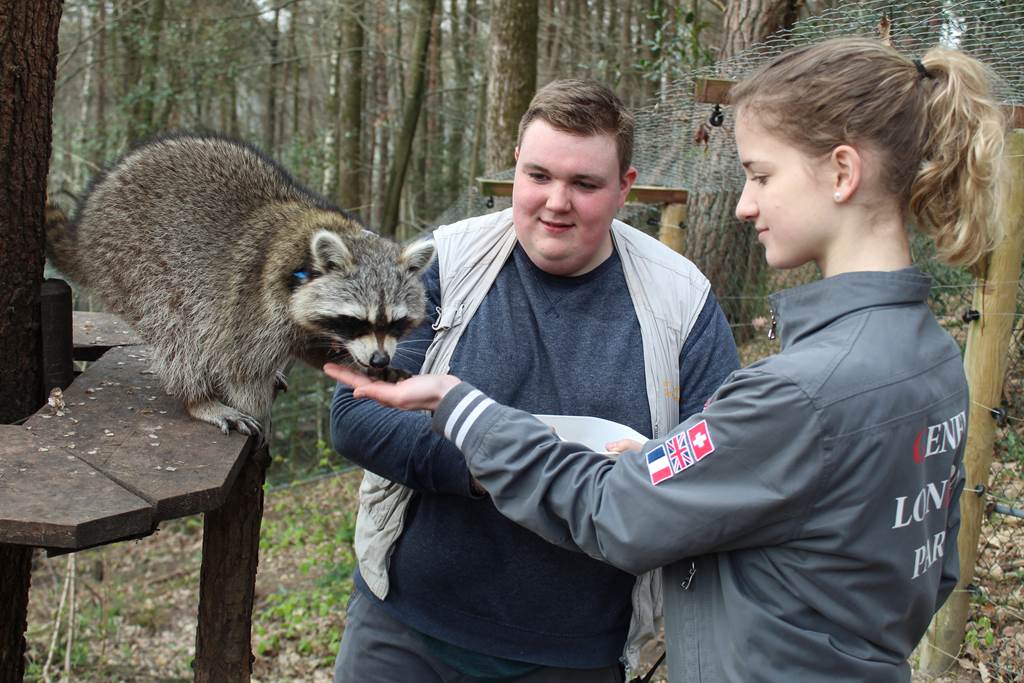 Devenez animalier d'un jour au Parc Argonne Découverte