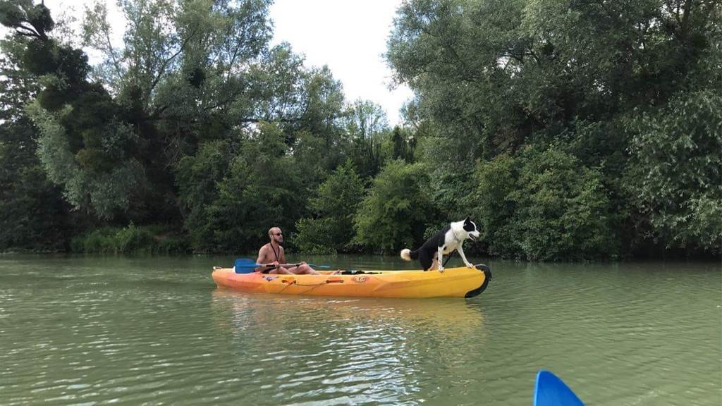 Sud Ardennes Canoë — photo 2