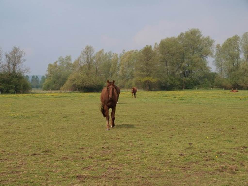 Randonnée autour de la Chartreuse du Mont-Dieu