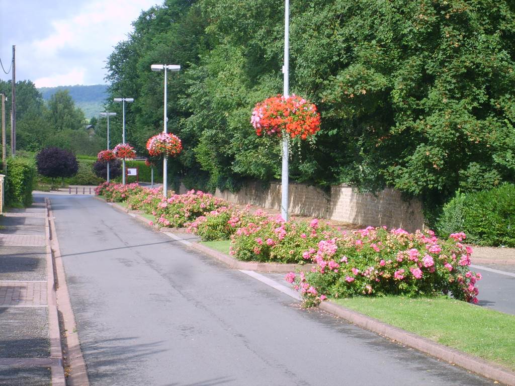 BALAN, Village Fleuri "3 Fleurs", Balan - photo 3