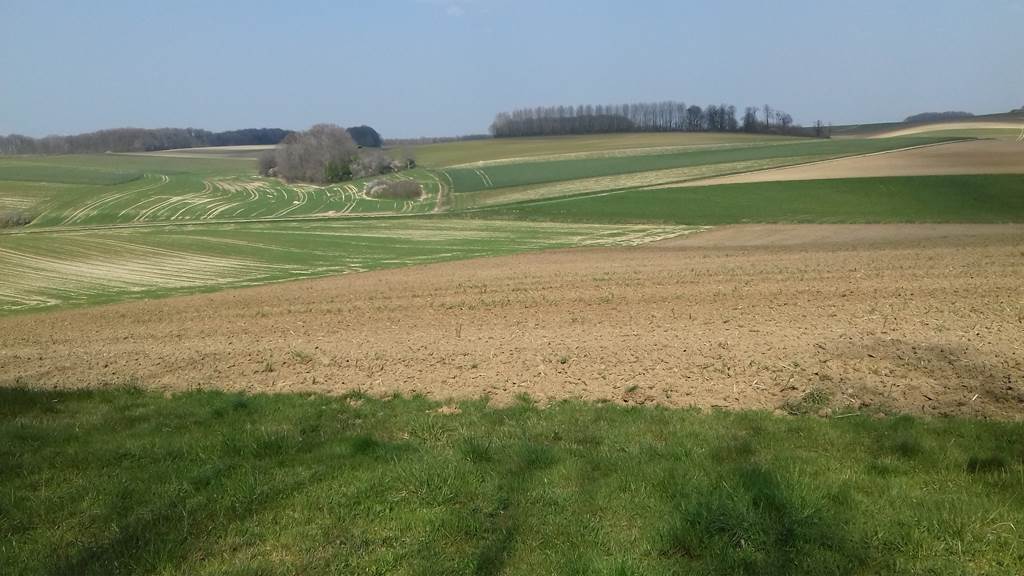 Aux trois petites notes, La Sabotterie