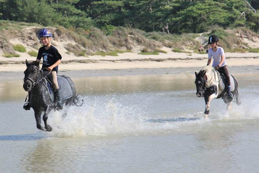 Camping Aux Sabots de Vent, Chuffilly-Roche