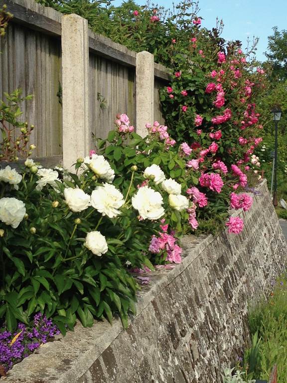 Avançon - Village Fleuri "1 fleur", Avançon - photo 6