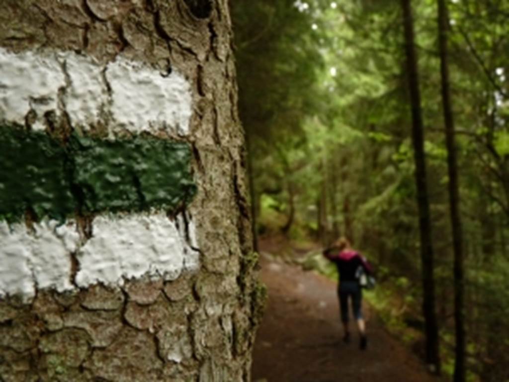 Randonnée "Circuit des Manises"