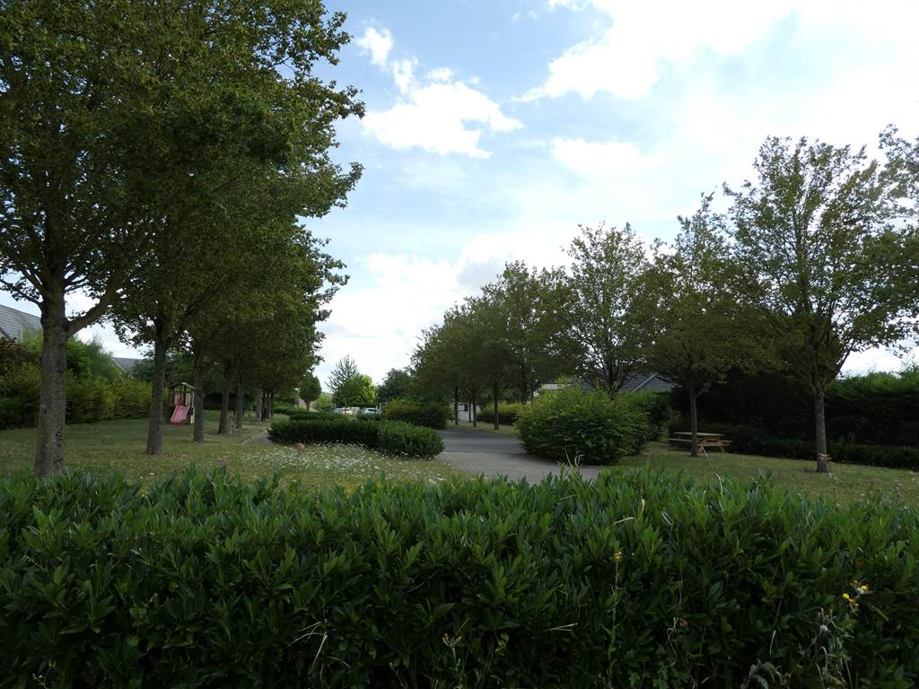 Tagnon - Village Fleuri "1 Fleur", Tagnon - photo 6