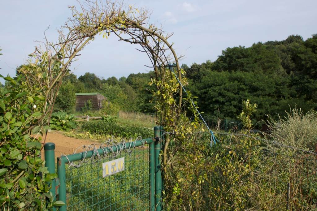 Les Jardins Familiaux de Sedan (depuis 1889), Sedan - photo 4