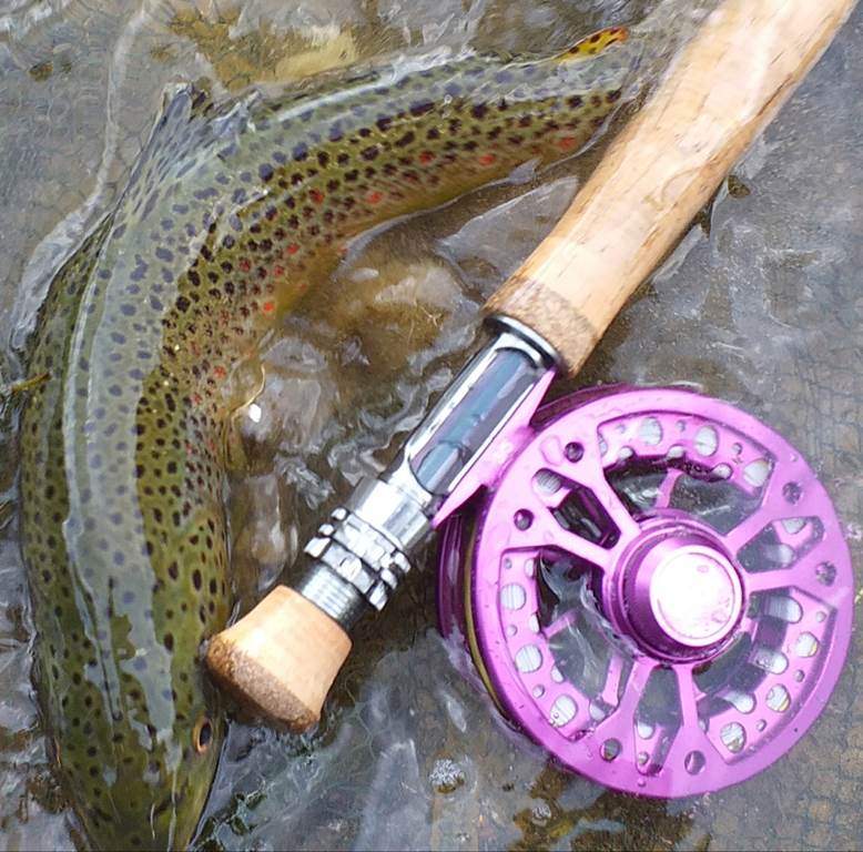 Pêche à la mouche dans les Ardennes