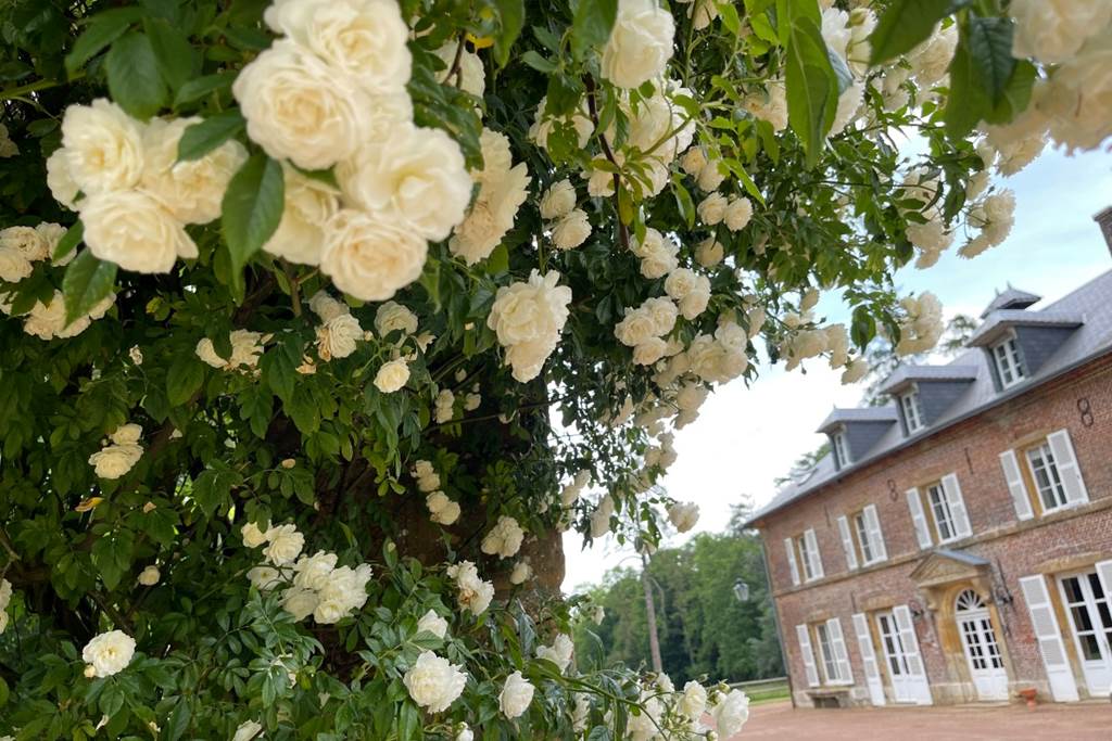 Domaine des Loches - Gîte De Gaupuy