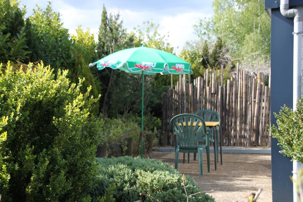 Le Moineau Friquet — photo 3