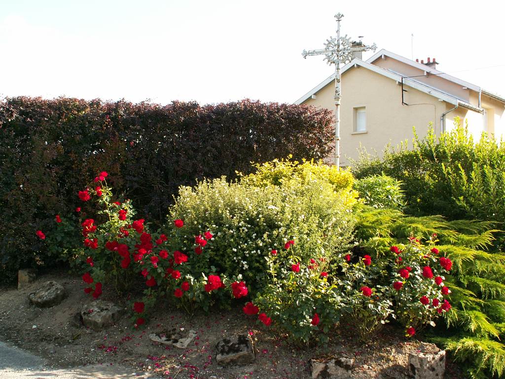 Saint-Loup-en-Champagne - Village Fleuri "1 fleur", Saint-Loup-en-Champagne - photo 3