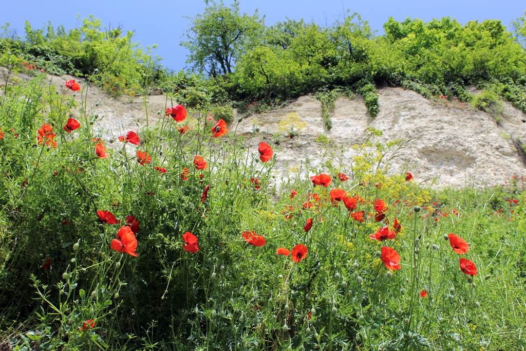 La Boucle de Château-Porcien, Château-Porcien - photo 2
