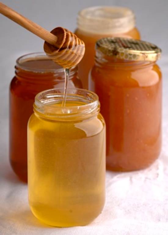 APICULTURE - PREVOT Didier