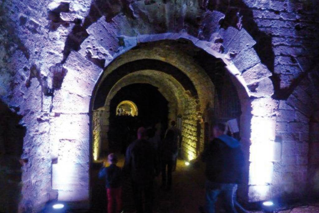 Domaine et Fort des Ayvelles, Les Ayvelles - photo 20