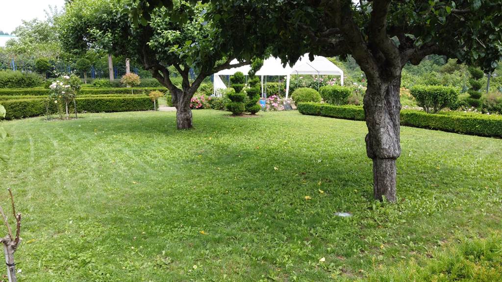 Les buffets de la Roseraie, Fumay - photo 3