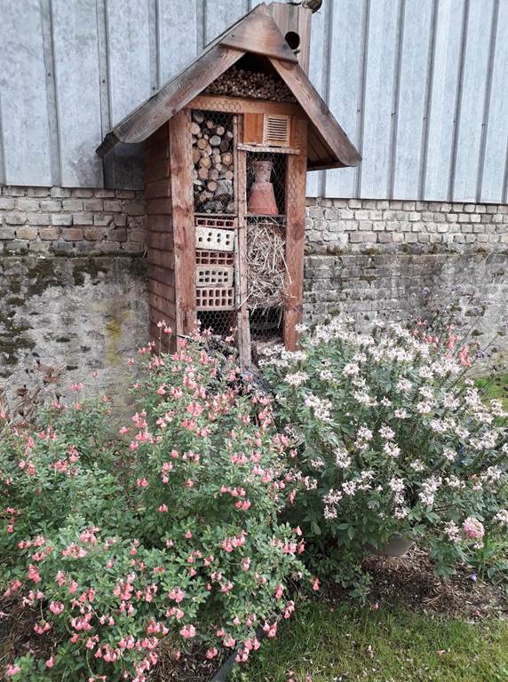 Saint-Loup-en-Champagne - Village Fleuri "1 fleur", Saint-Loup-en-Champagne - photo 4