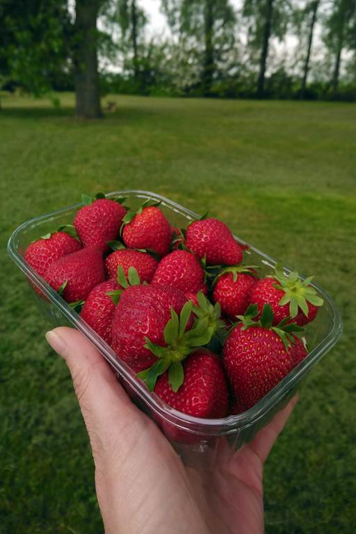 Aux Serres de Pauvres - photo 2