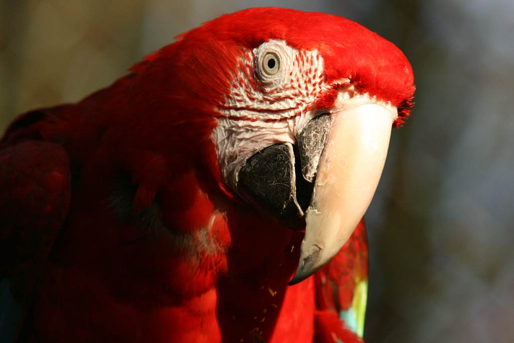 Parc Argonne Découverte -