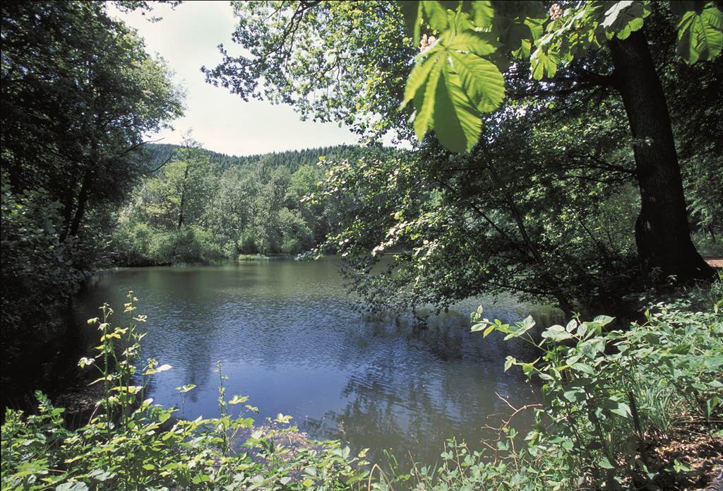 HARGNIES, Village Fleuri "3 Fleurs", Hargnies