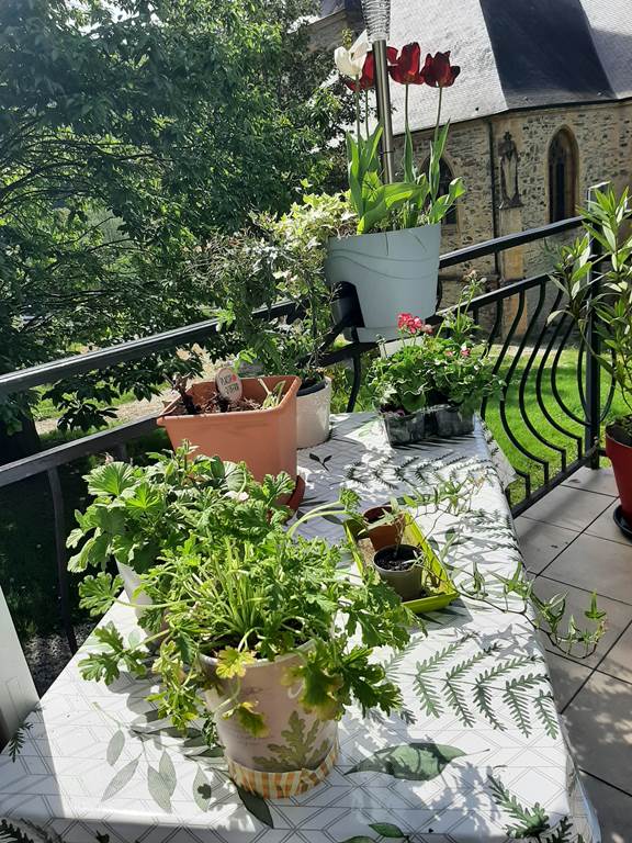 Chambre d'hôtes Chez Many par Fred et Henri