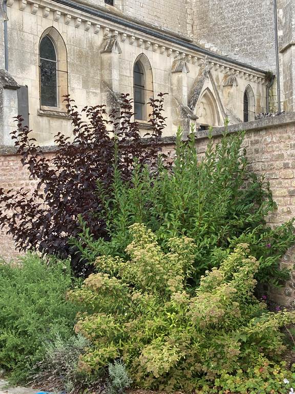 Avançon - Village Fleuri "1 fleur", Avançon - photo 7