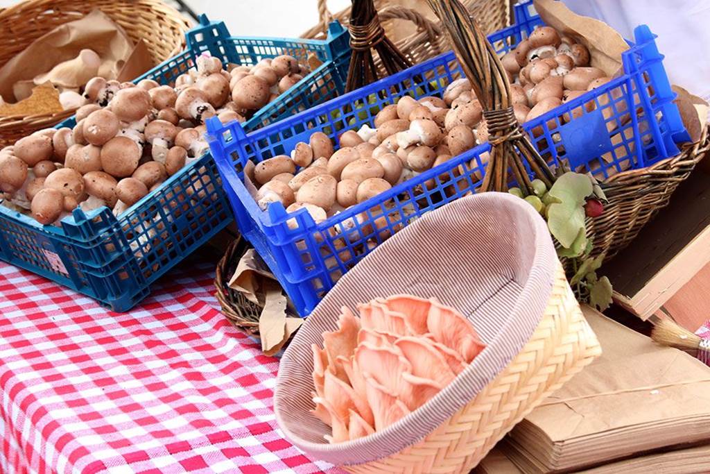 Les délices du tunnel