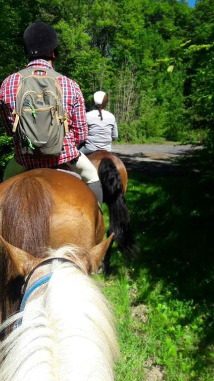 Les Ecuries des Sources