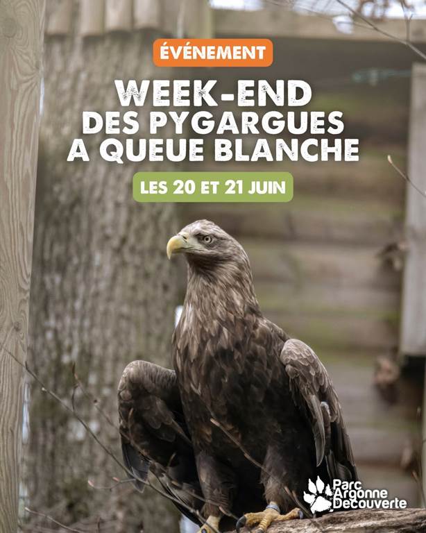 Événement : Week-end des Pygargues à queue blanche