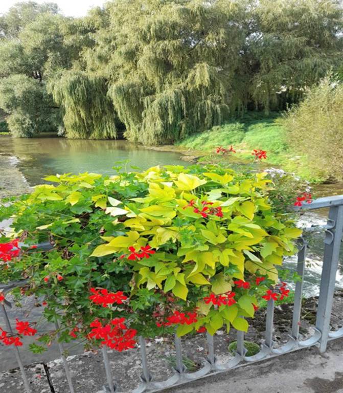 Château-Porcien - Village Fleuri "2 fleurs", Château-Porcien - photo 2