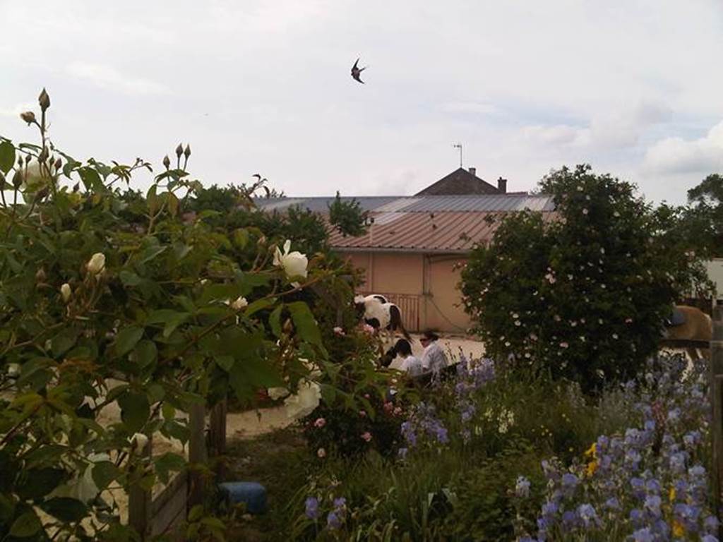 Camping Aux Sabots de Vent