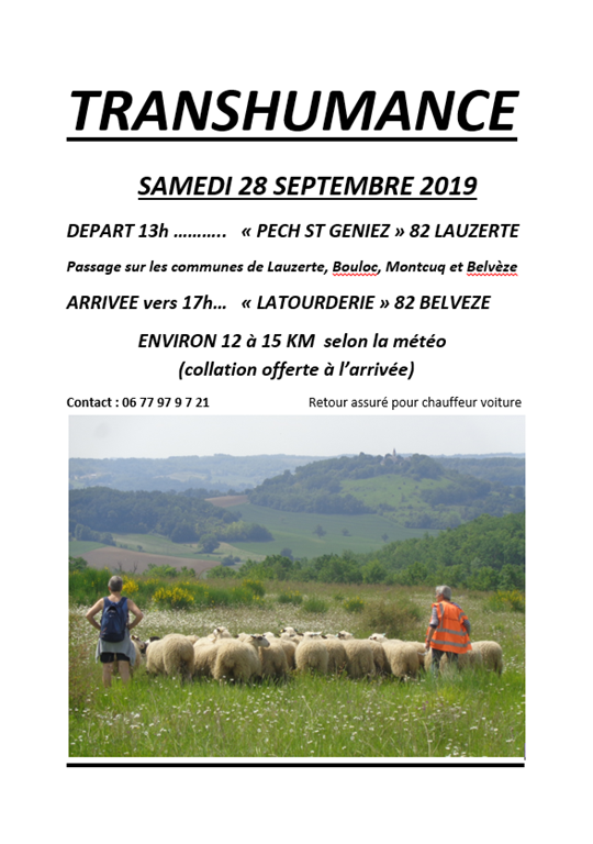 transhumance