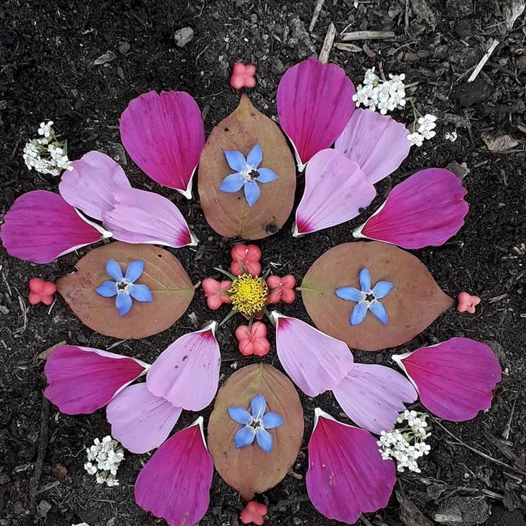 Ecothérapie dans la nature ! Juliette  Cheriki-Nort, Rethel