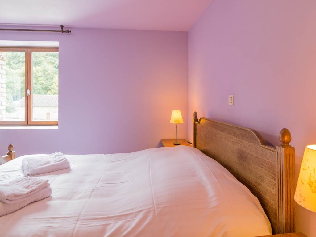 Domaine château du Risdoux: gîte le Lavandin (12 personnes) — photo 2