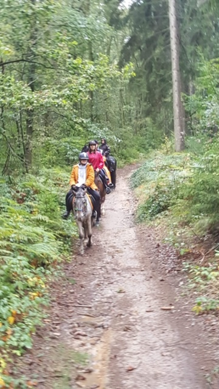 Ferme Equestre de la Yame