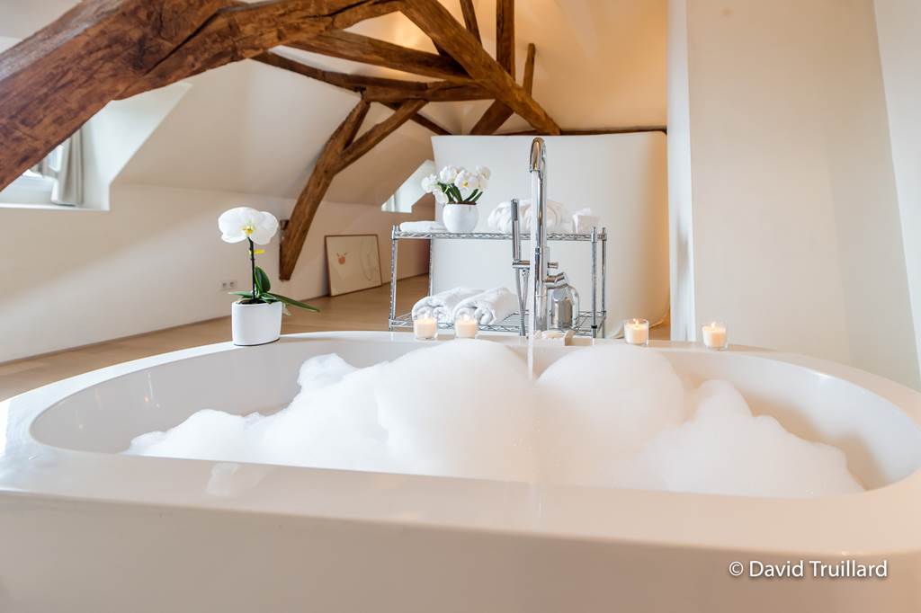 Meublé de tourisme : Suites Mana - Suite Ohana