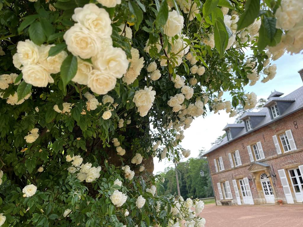 Domaine des Loches, Mazerny - photo 34