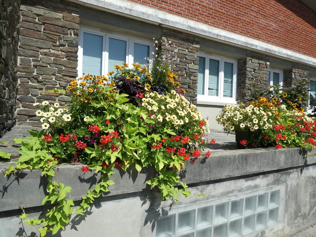 Rethel - Ville Fleurie 3 fleurs, Rethel - photo 7