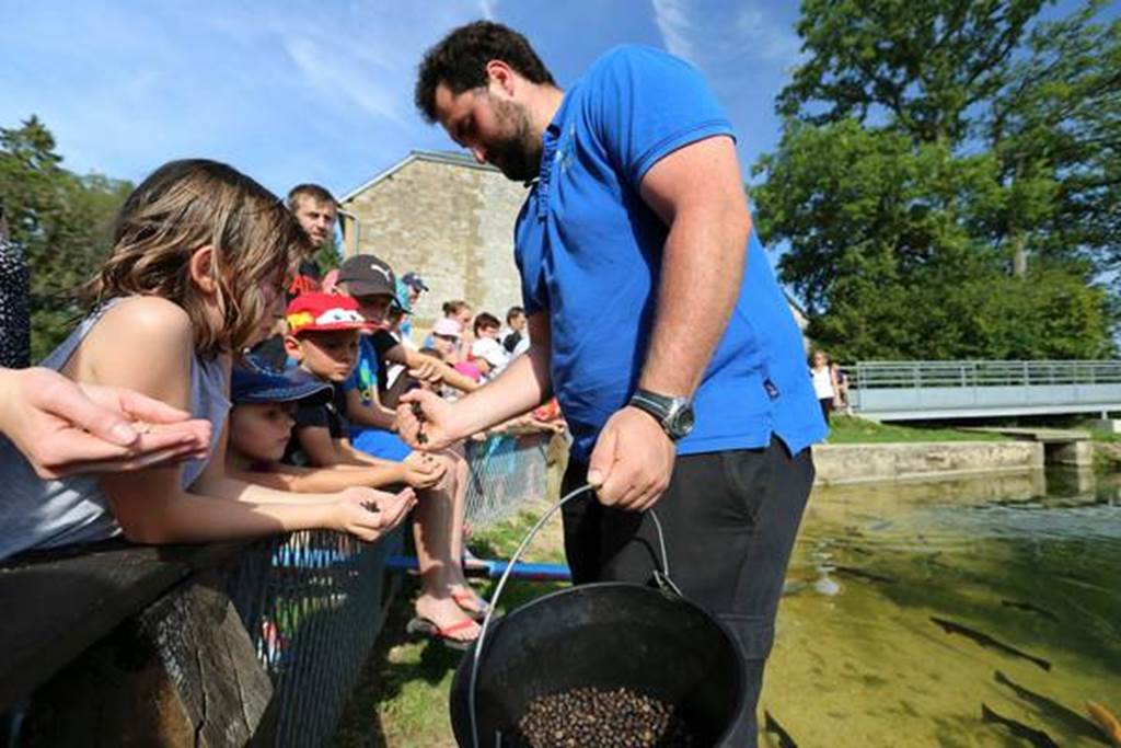 Domaine de Vendresse, Vendresse